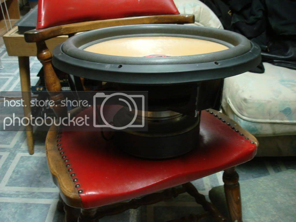 dd9918005.jpg