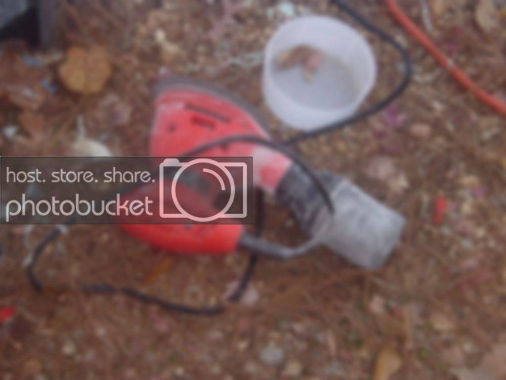 DSCF1548.jpg