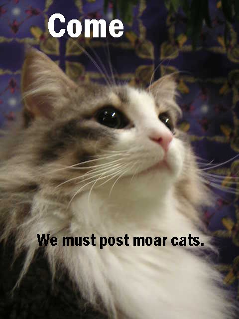 1185211630-1175884275290.b.jpg