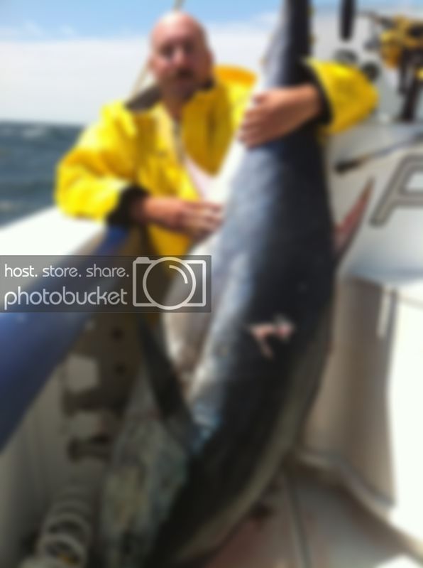 tuna.jpg