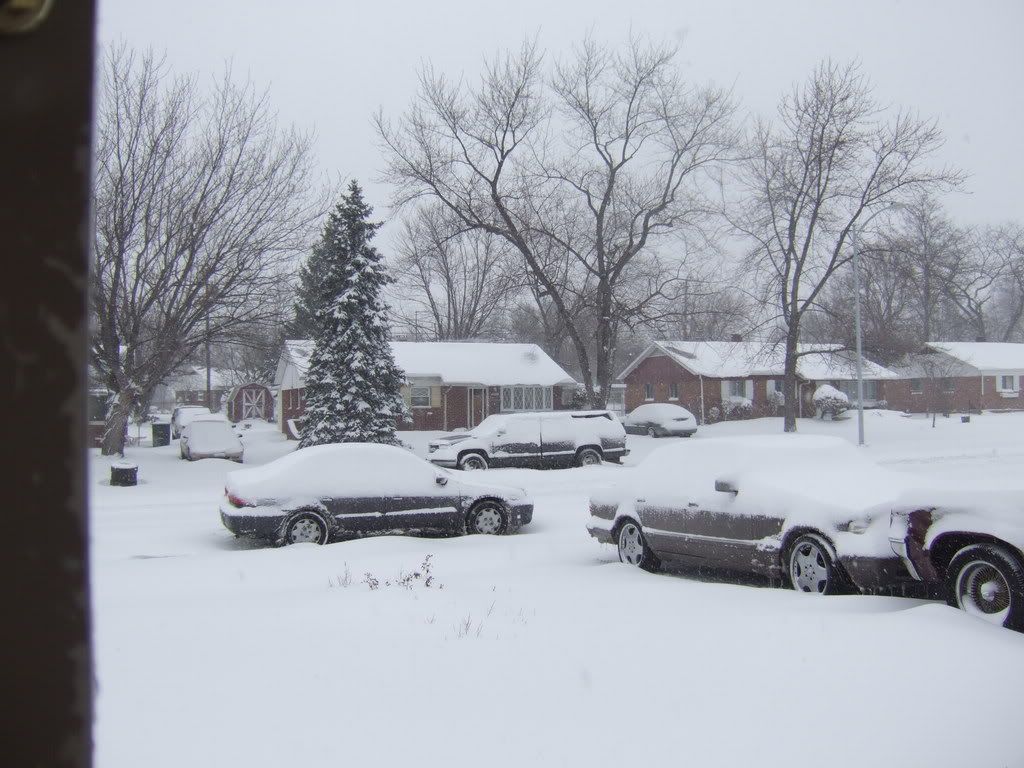 DSCF2130.jpg
