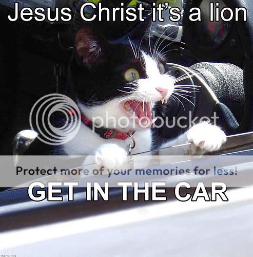 catpic.jpg