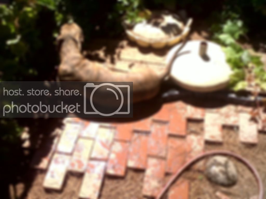 IMG00007-20100803-1044.jpg