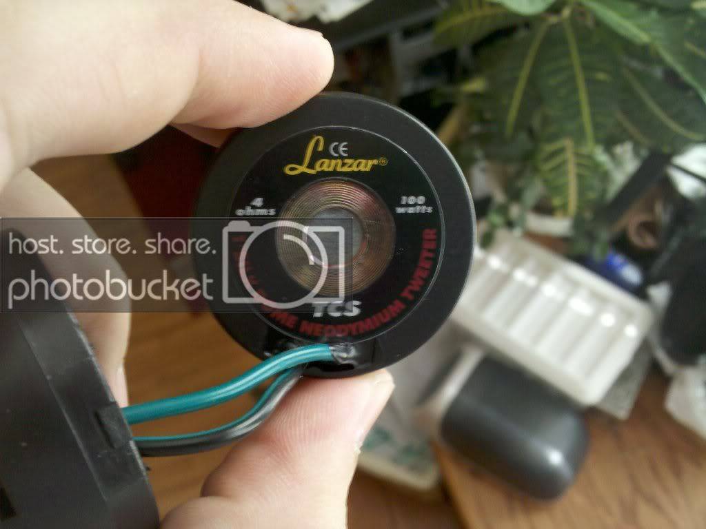 CameraZOOM-20101103164506.jpg