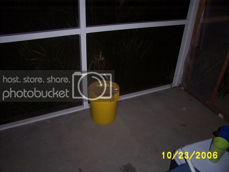 Picture375.jpg