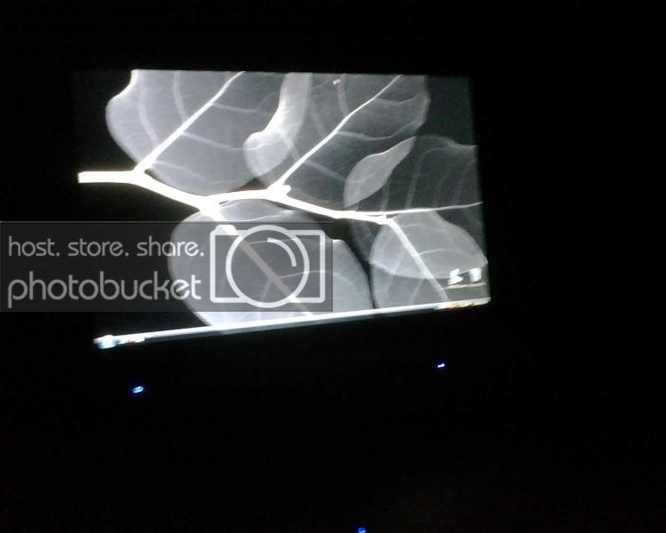 IMG00040.jpg