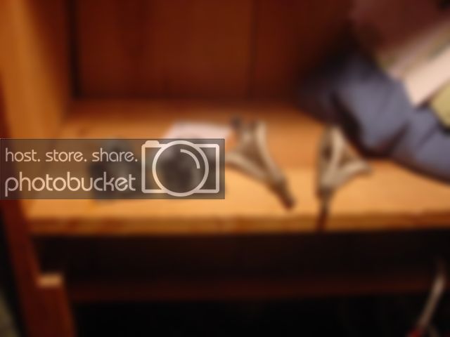 DSC02783.jpg
