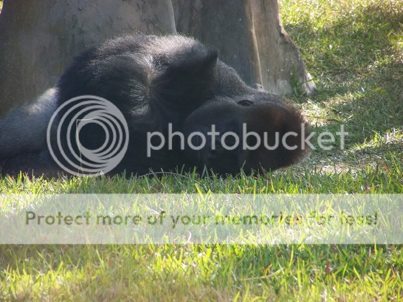 zoo050.jpg