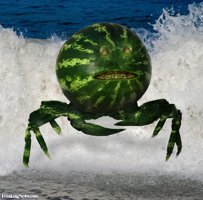 WaterMelon-Crab-in-the-Sea--62494.jpg