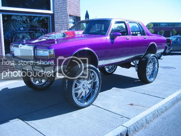 donk.jpg