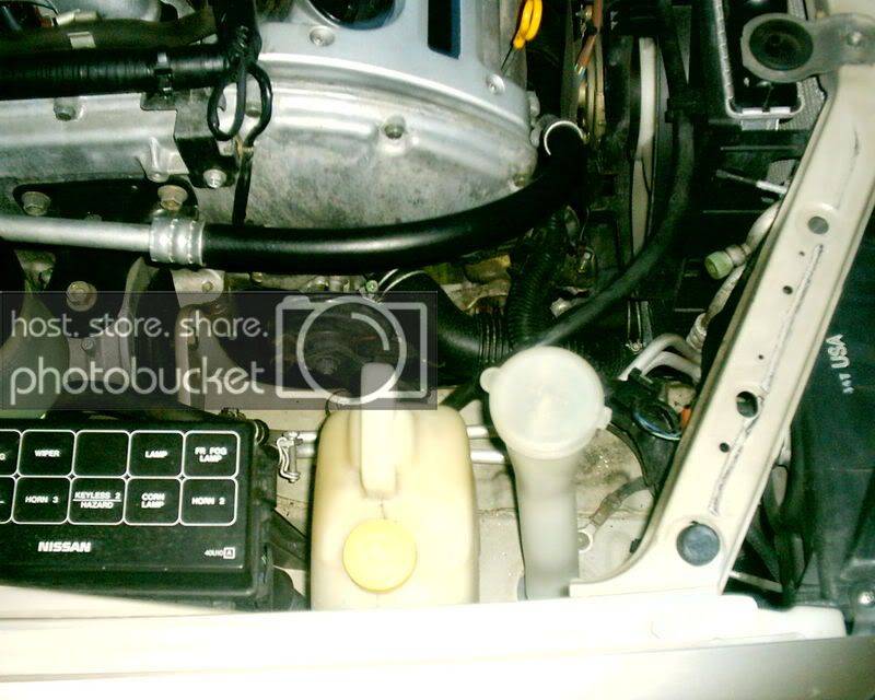 maxima002-1.jpg