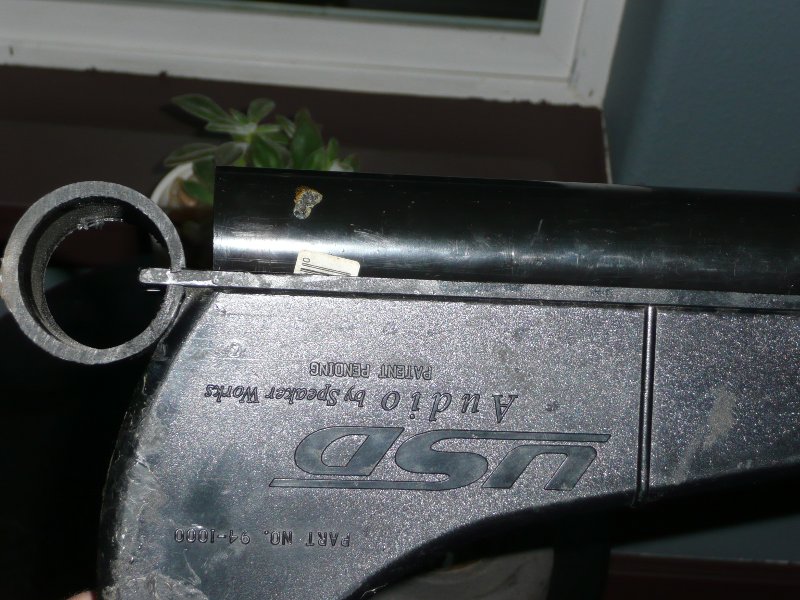 gnib-5.jpg