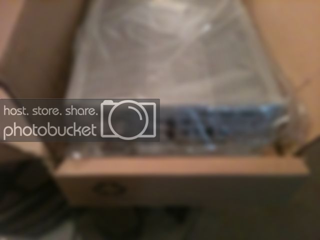 photo4.jpg