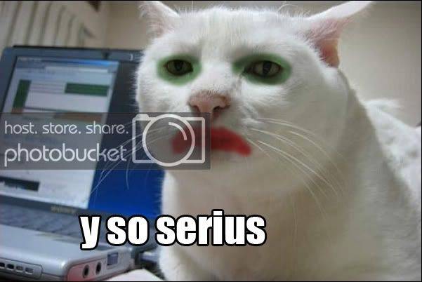 SeriousCat.jpg