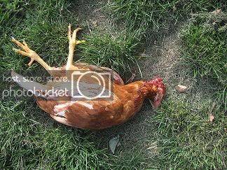 Picturesofnobody071.jpg