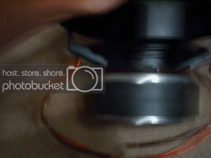 mypics289.jpg