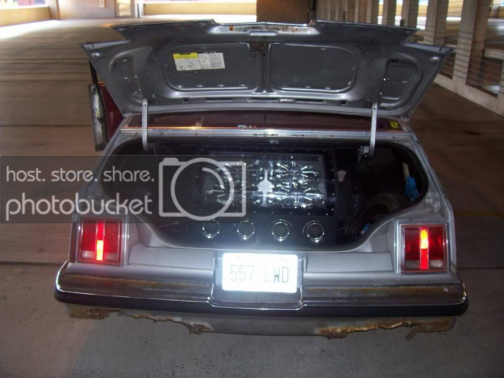 cars008.jpg