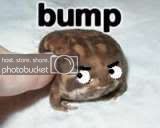 bump-1.jpg