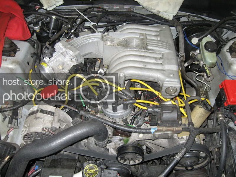 Picture020.jpg