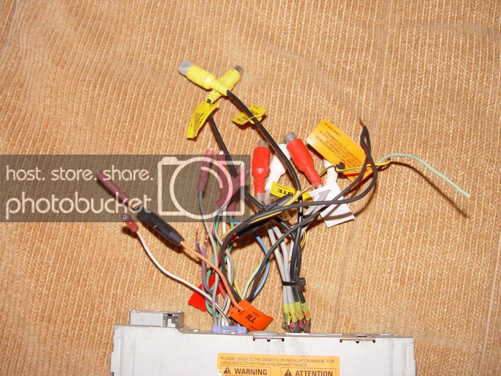DSC05445.jpg