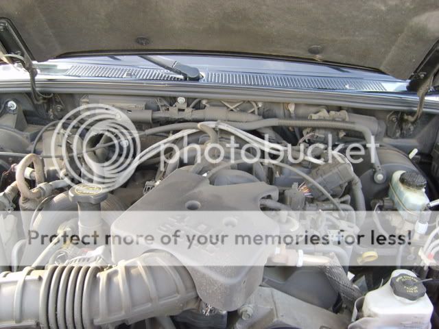 S6000340.jpg