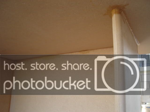 DSC08676.jpg