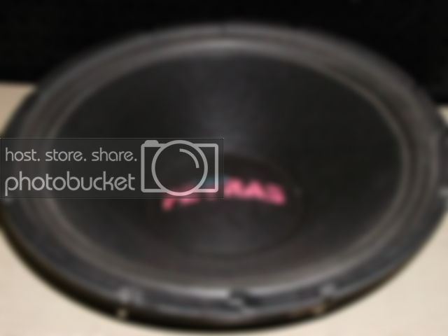P1010039.jpg
