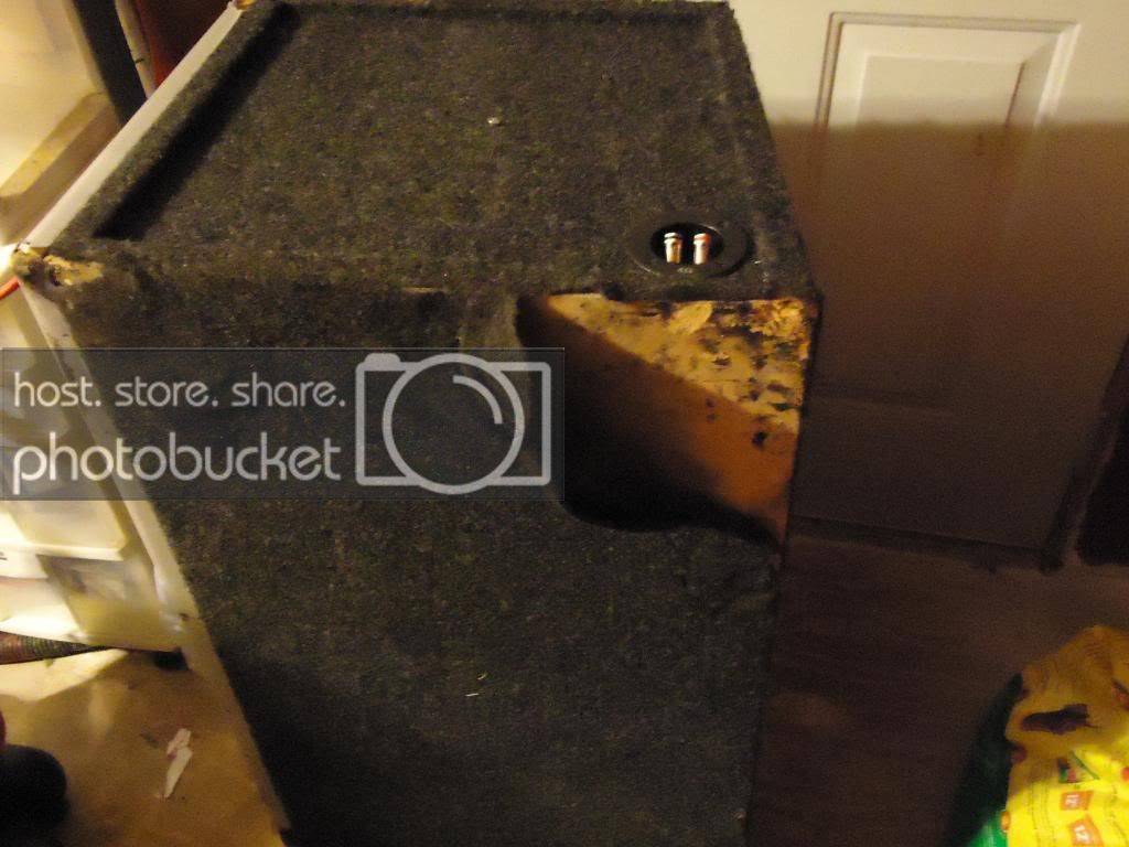 DSC00438.jpg
