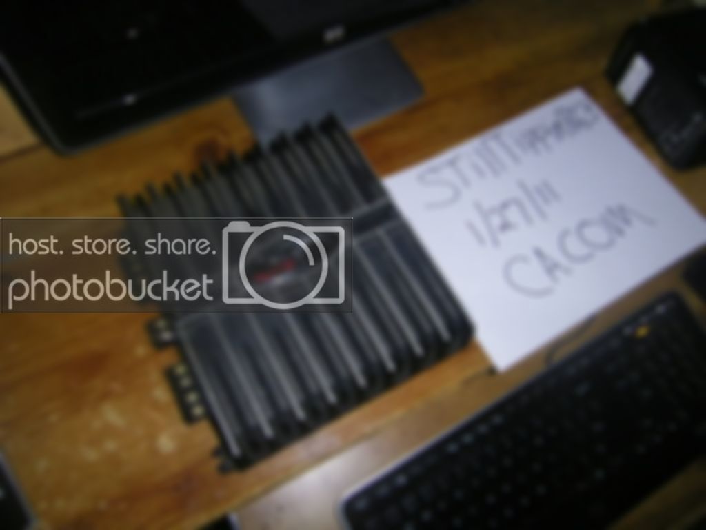 ampblackberry002.jpg
