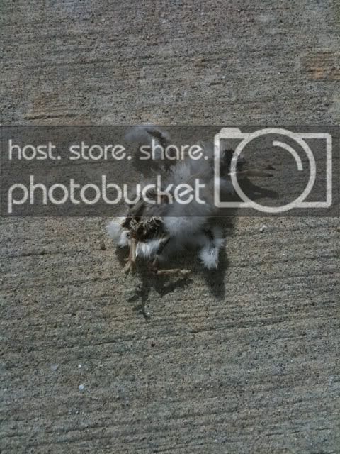 iPhoneUpload-7.jpg