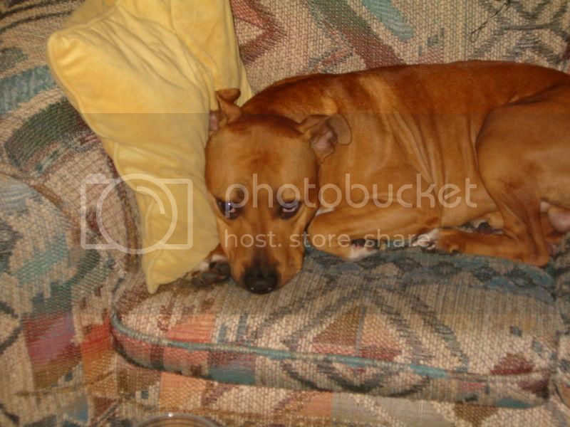 Rocky012.jpg