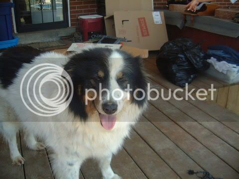 Picture009.jpg