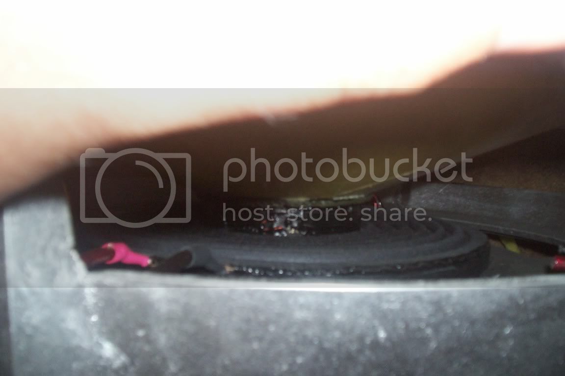 Picture053.jpg