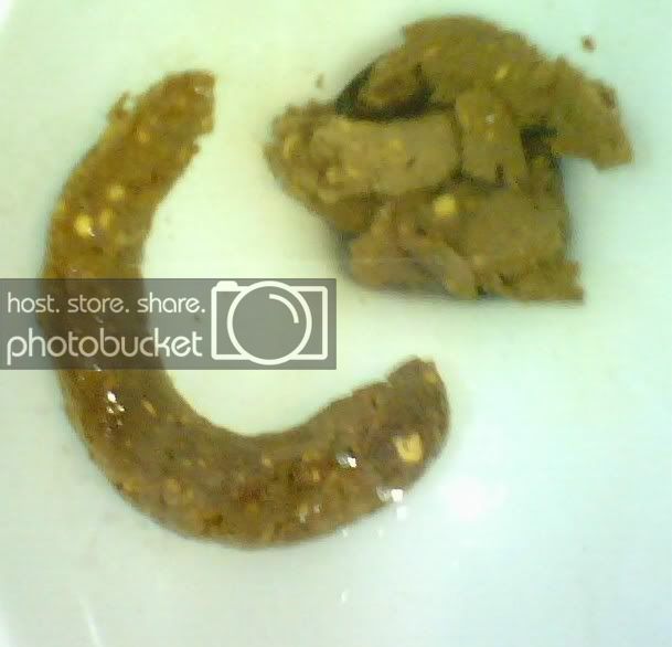 poop.jpg