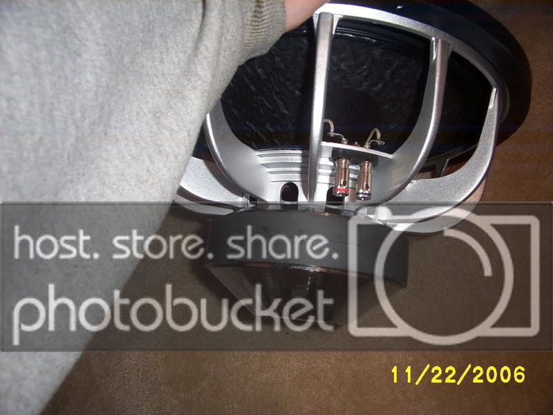 Picture410.jpg