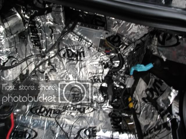 trunk1.jpg