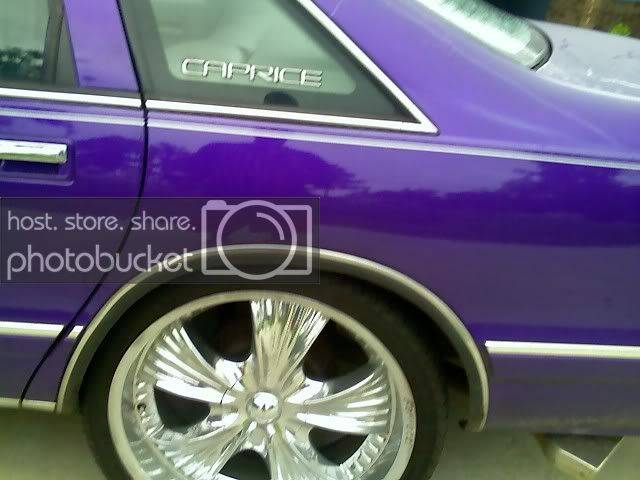 my24s5.jpg