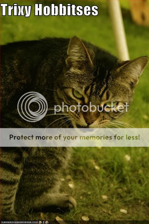 funny-pictures-cat-golem-lotr.jpg