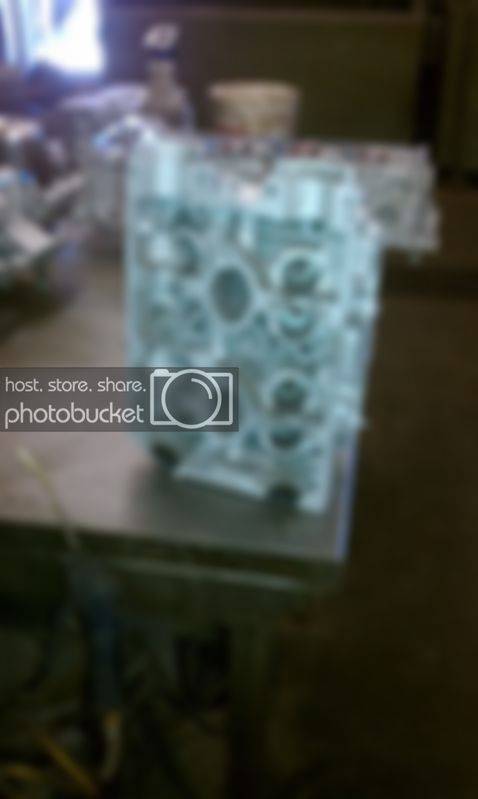 IMAG0199.jpg