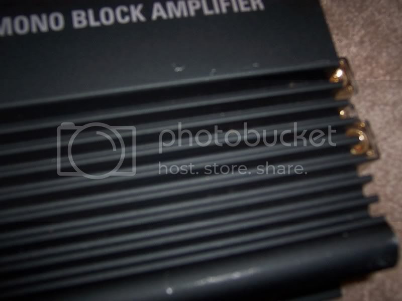 100_3900.jpg