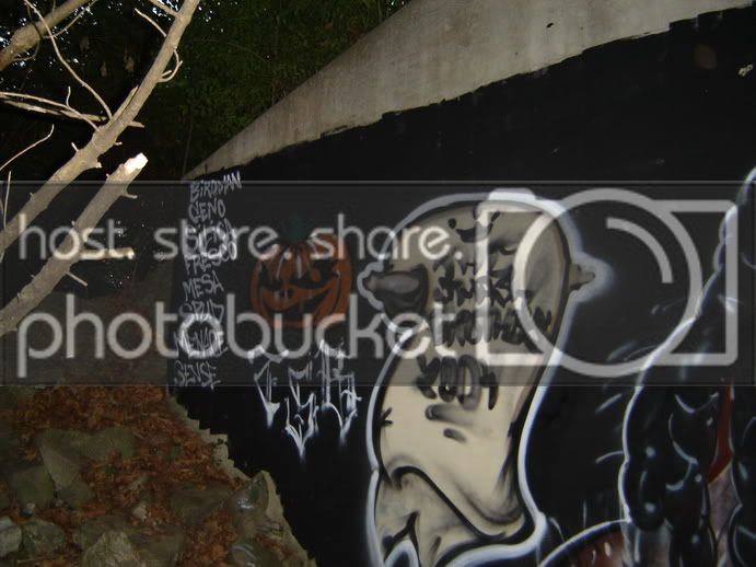 DSC00116.jpg