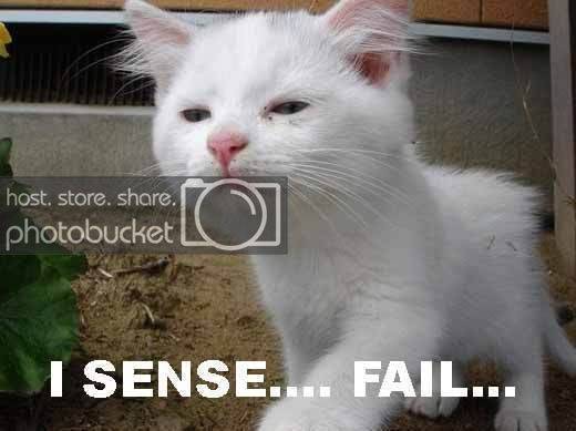 FAIL-cat-I-sense-fail-1.jpg