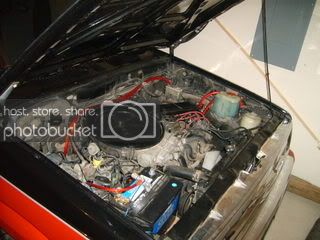 SD531173.jpg