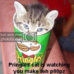 pringlescat1.jpg