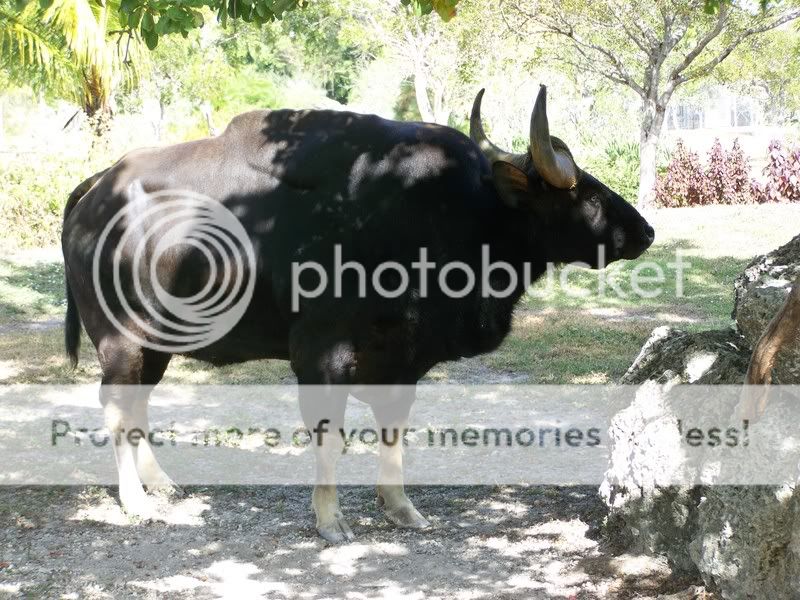 zoo059.jpg