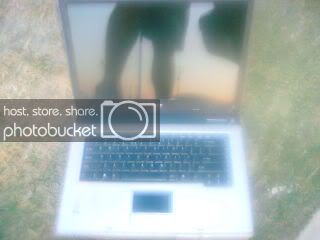 acer.jpg
