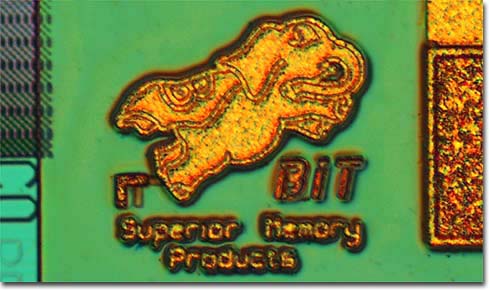 bitelephant.jpg