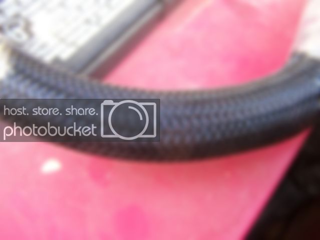 100_3962.jpg