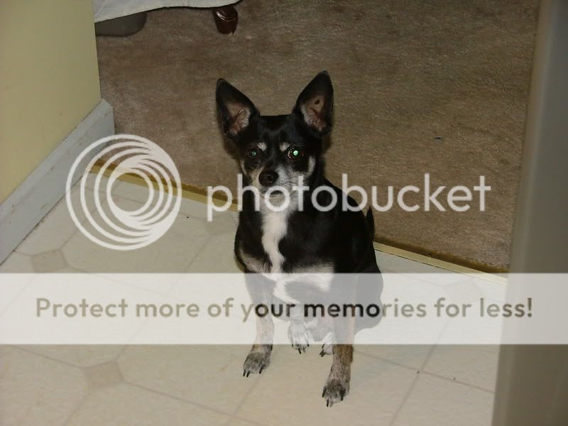 DSCF3675.jpg