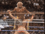 hoganshero7id8wvar6.gif